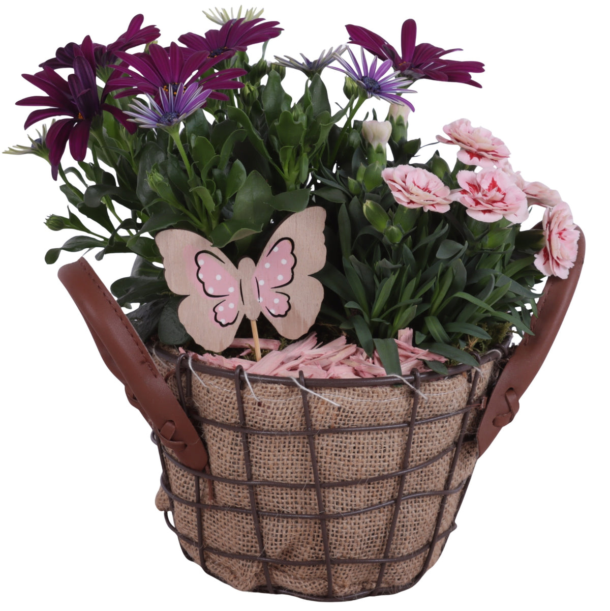 Outdoor arrangement 25cm 17cm Pot