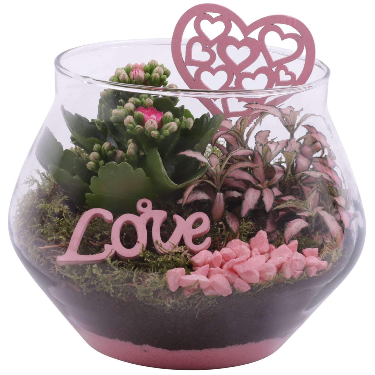 Indoor arrangement 25cm 20cm Pot