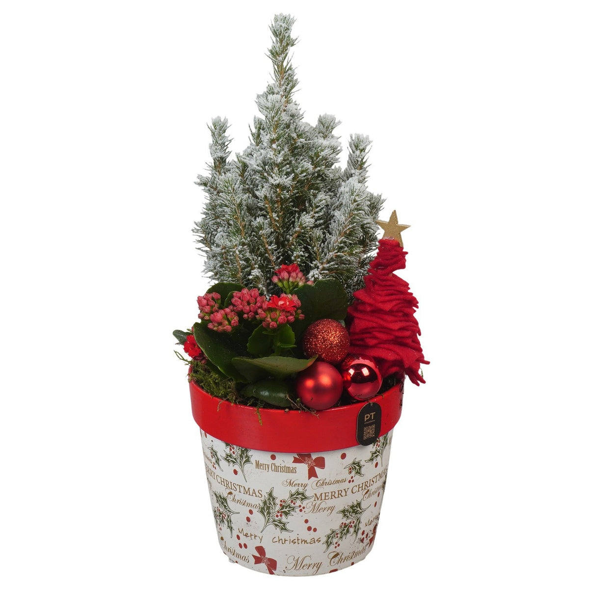 Christmas arrangement 36cm 14cm Pot