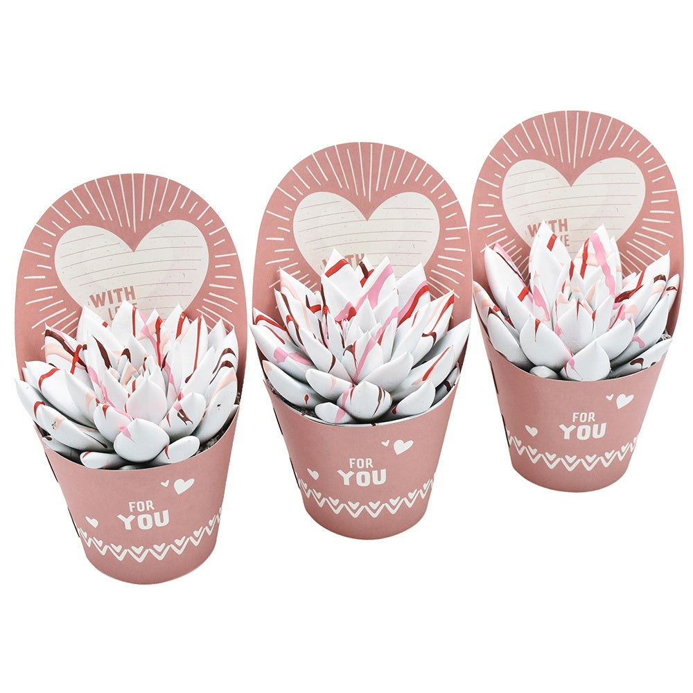 Miranda coloured splash love in potcover "For You" 11cm 8.5cm Pot