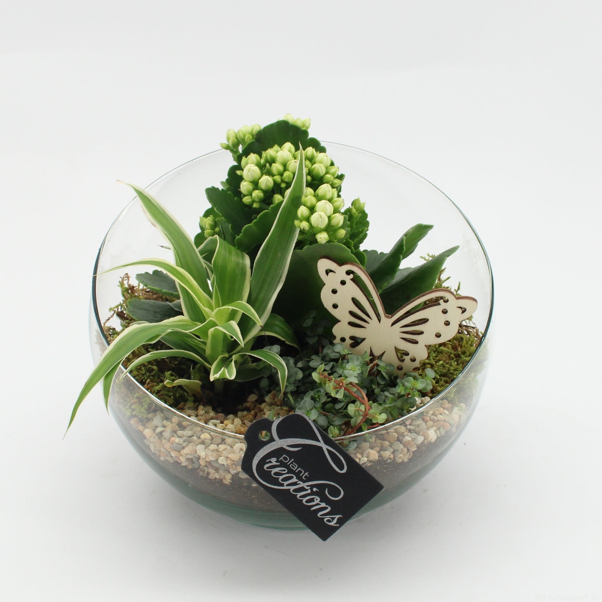 ESCR-2630W Essentials 20cm 18cm Pot