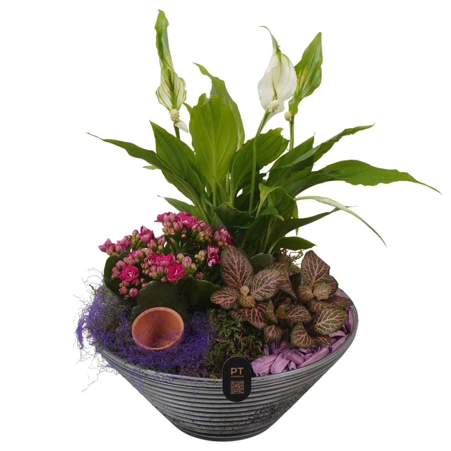 Indoor arrangement 29cm 19cm Pot