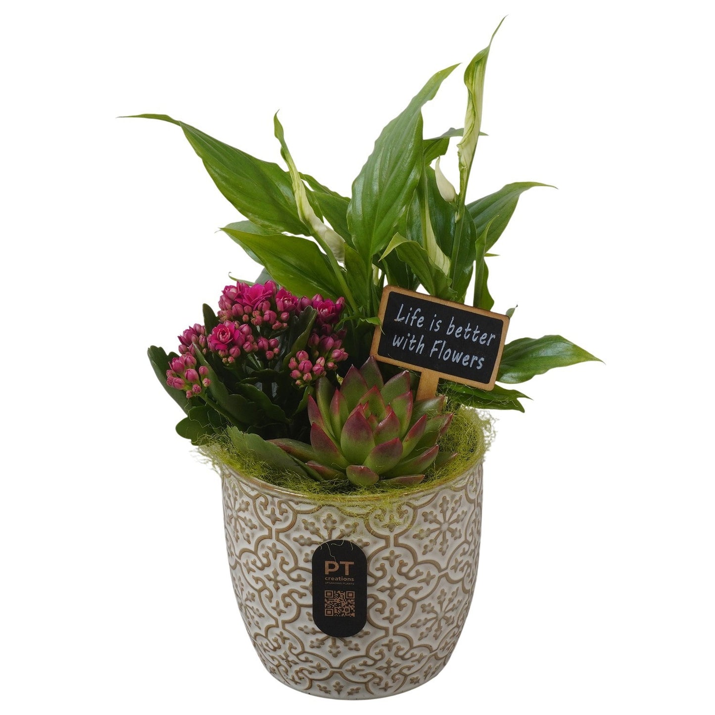 Indoor arrangement 30cm 12cm Pot