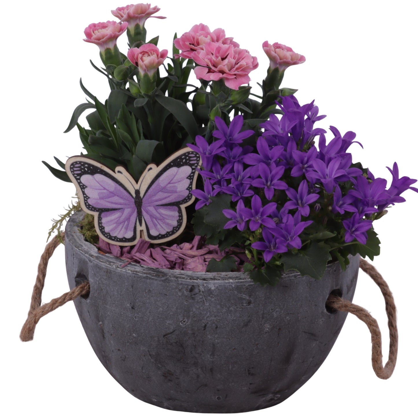 Outdoor arrangement 20cm 16cm Pot