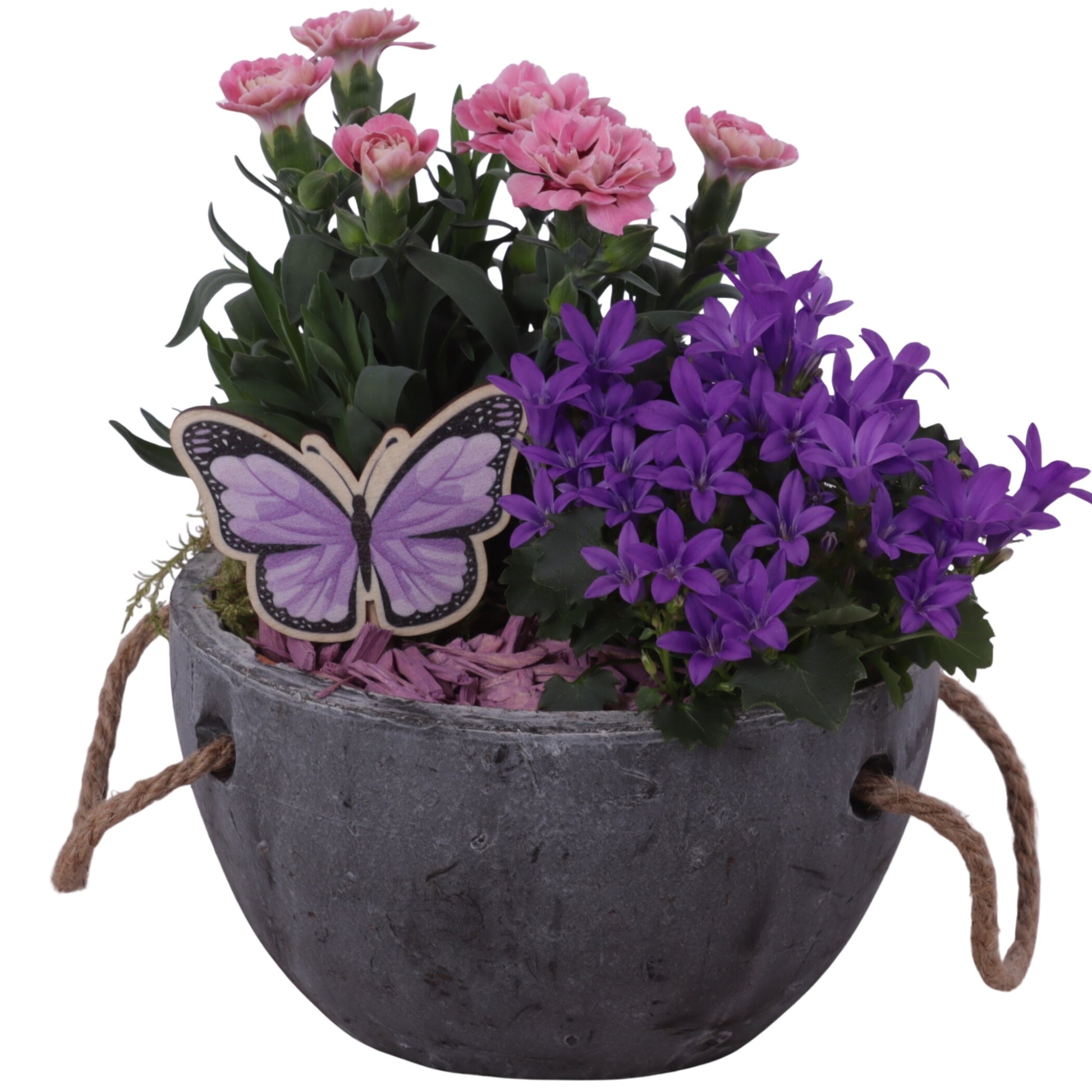 Outdoor arrangement 20cm 16cm Pot