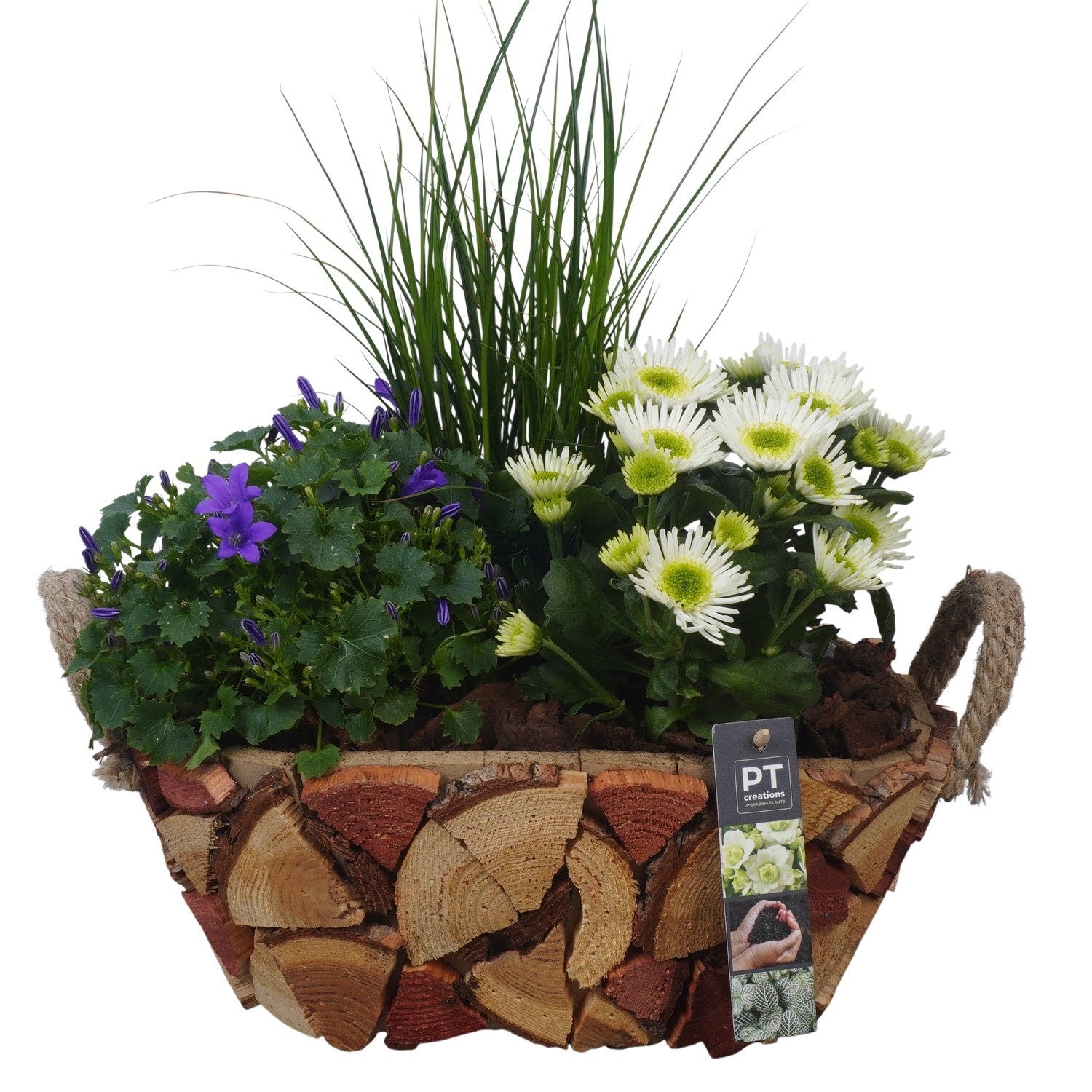 Outdoor arrangement 43cm 33cm Pot