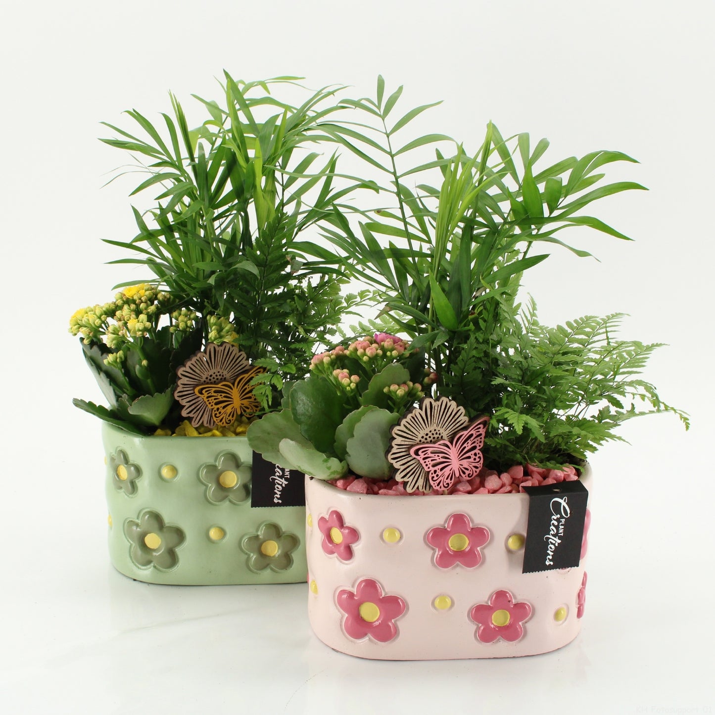 SECR-2614 Summer Essentials Colors 35cm 18cm Pot