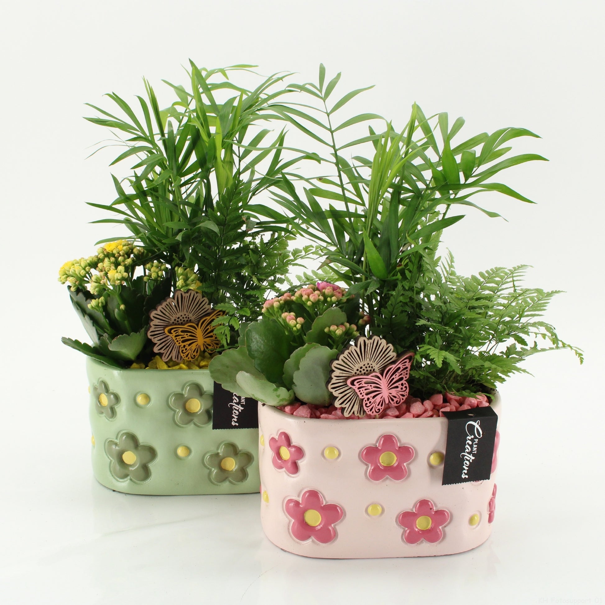 SECR-2614 Summer Essentials Colors 35cm 18cm Pot