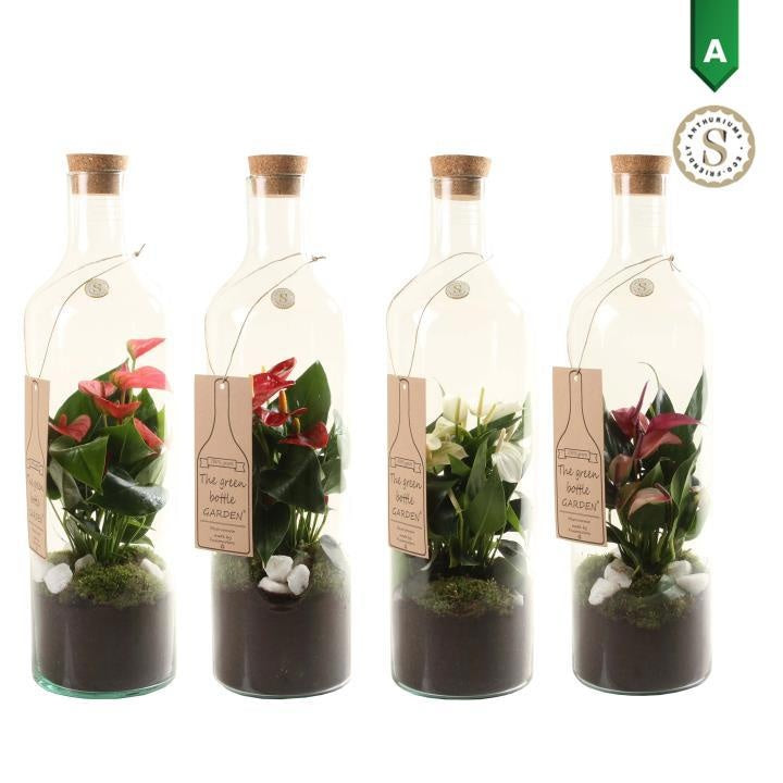 Fusioncolors BV Green Bottle Fles Large met Anthurium mixkleur Pack of 6