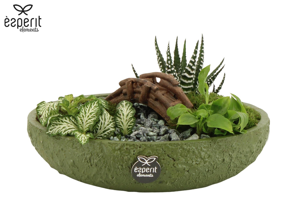 indoor-arrangement-10cm-17cm-pot