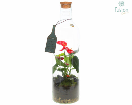 Green Bottle Fles Large met Anthurium 55cm 15cm Pot