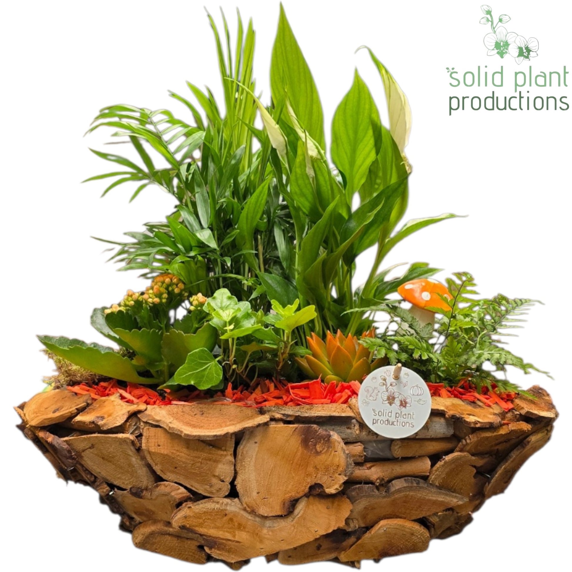 SCE012 Driftwood Boat Orange Autumn 45cm 46cm Pot