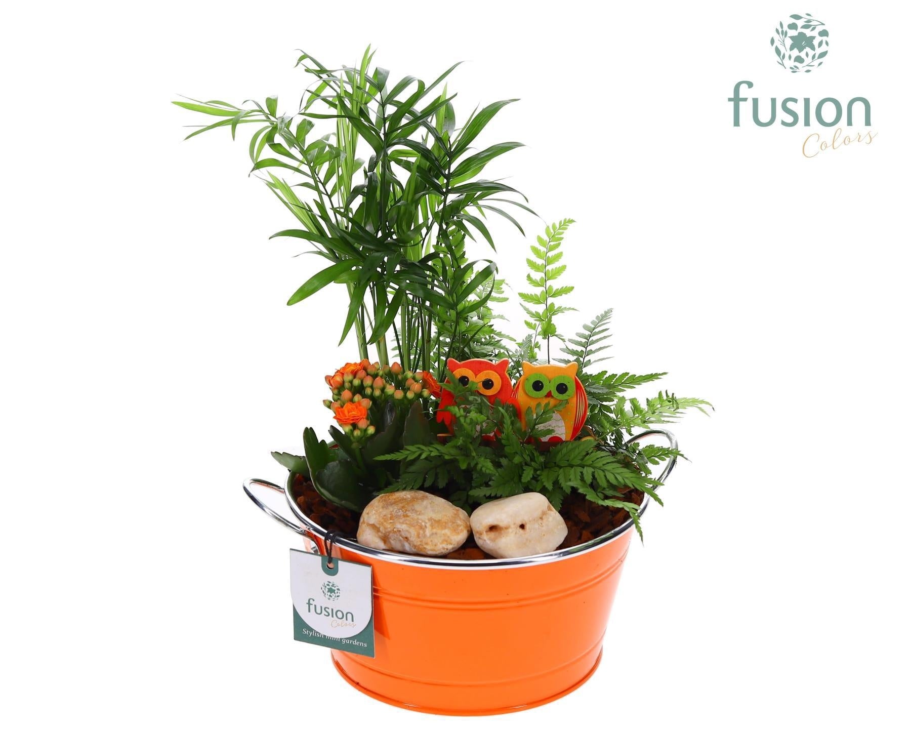 Schaal zink rond met Arrangement 35cm 20cm Pot