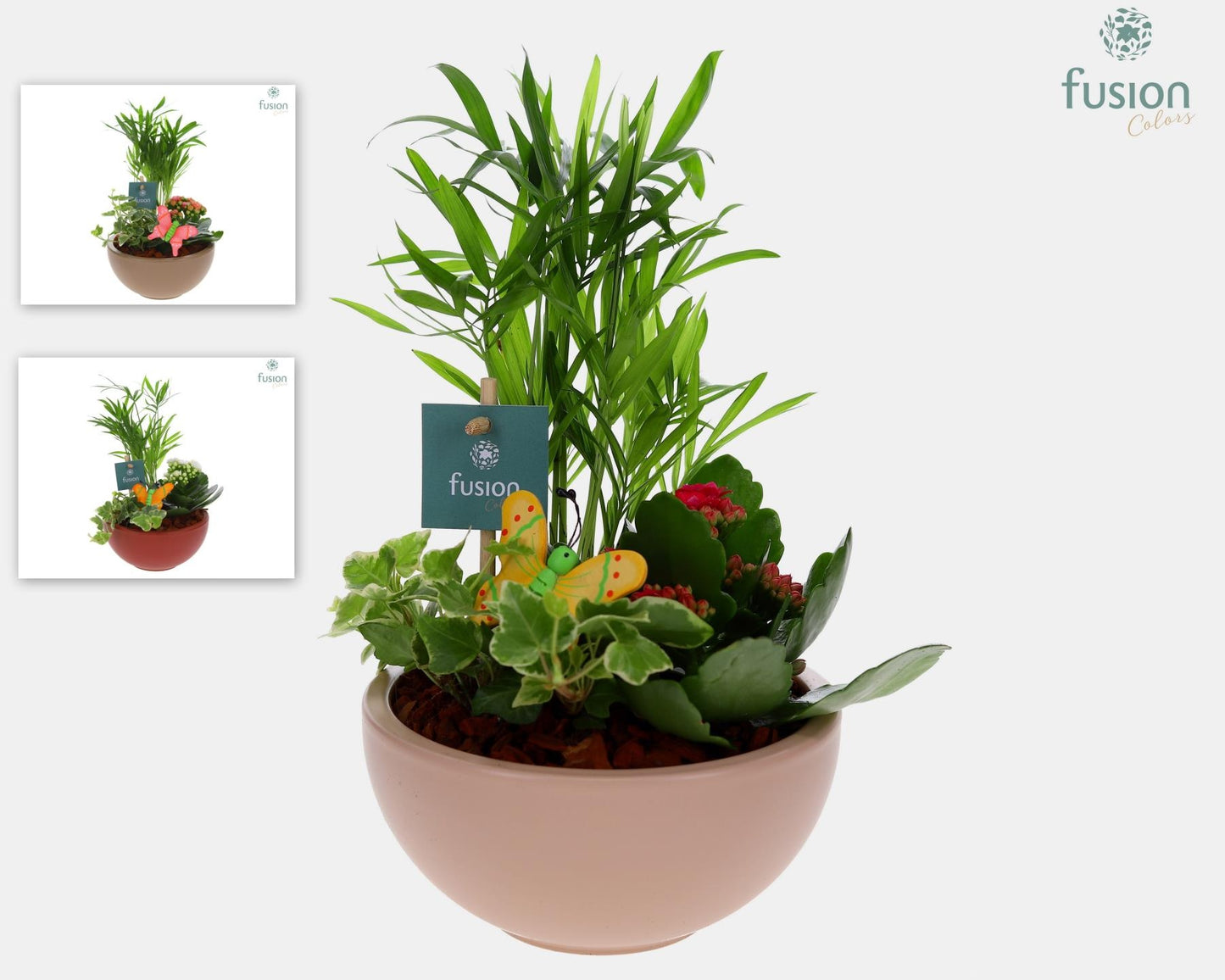 Schaal keramiek Moon Small met arrangement 25cm 15cm Pot