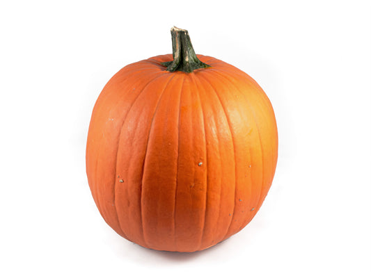 Cucurbita max. Halloween 30cm 30cm Pot