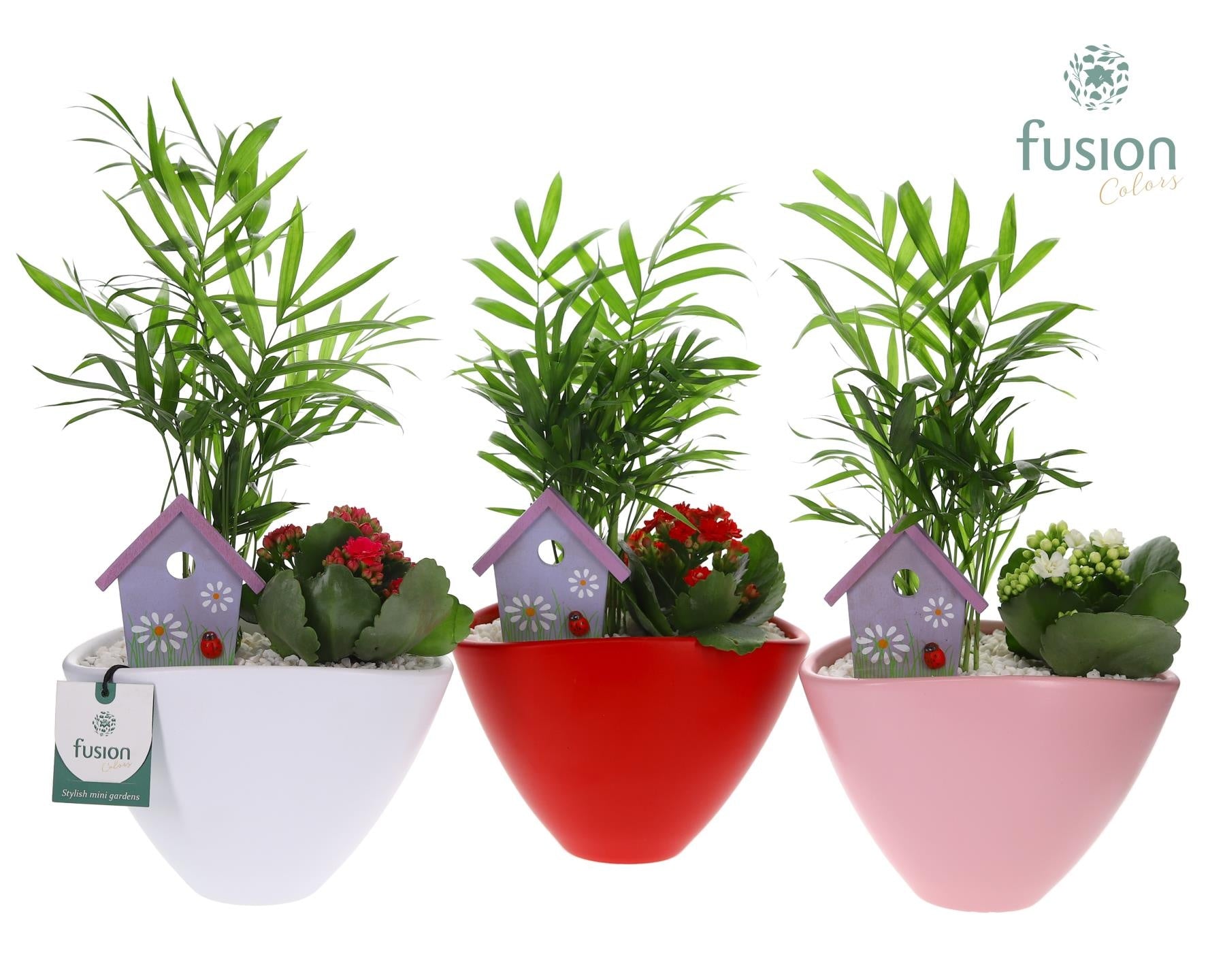 Pot keramiek ovaal Medium met Arrangement 43cm 18cm Pot