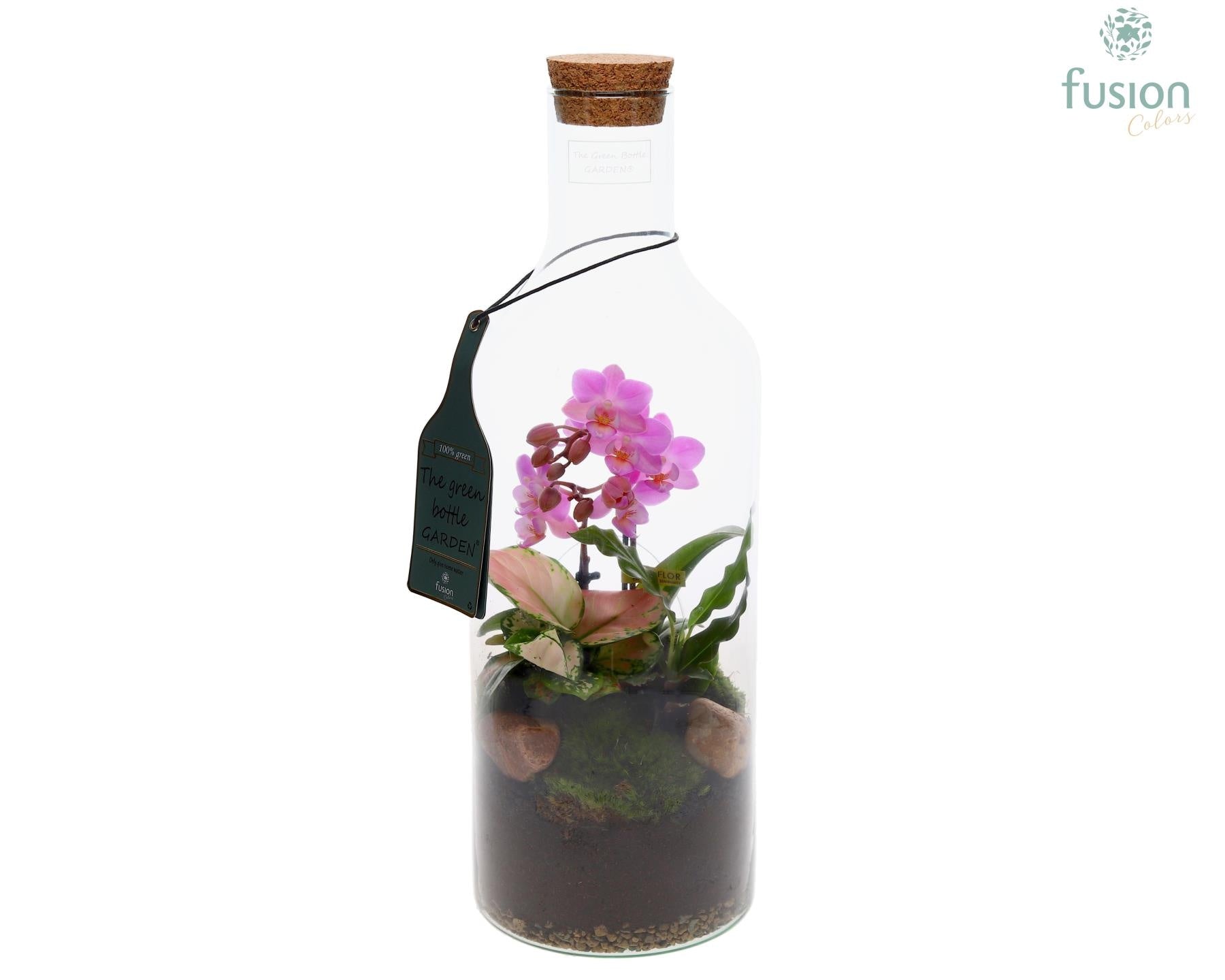 Green Bottle Fles Medium met Phalaenopsis arrangement 43cm 15cm Pot