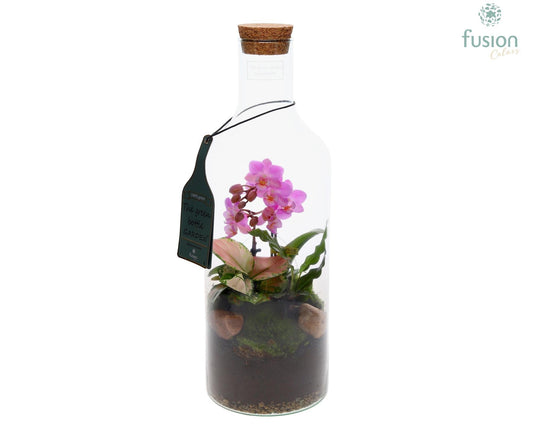 Green Bottle Fles Medium met Phalaenopsis arrangement 43cm 15cm Pot