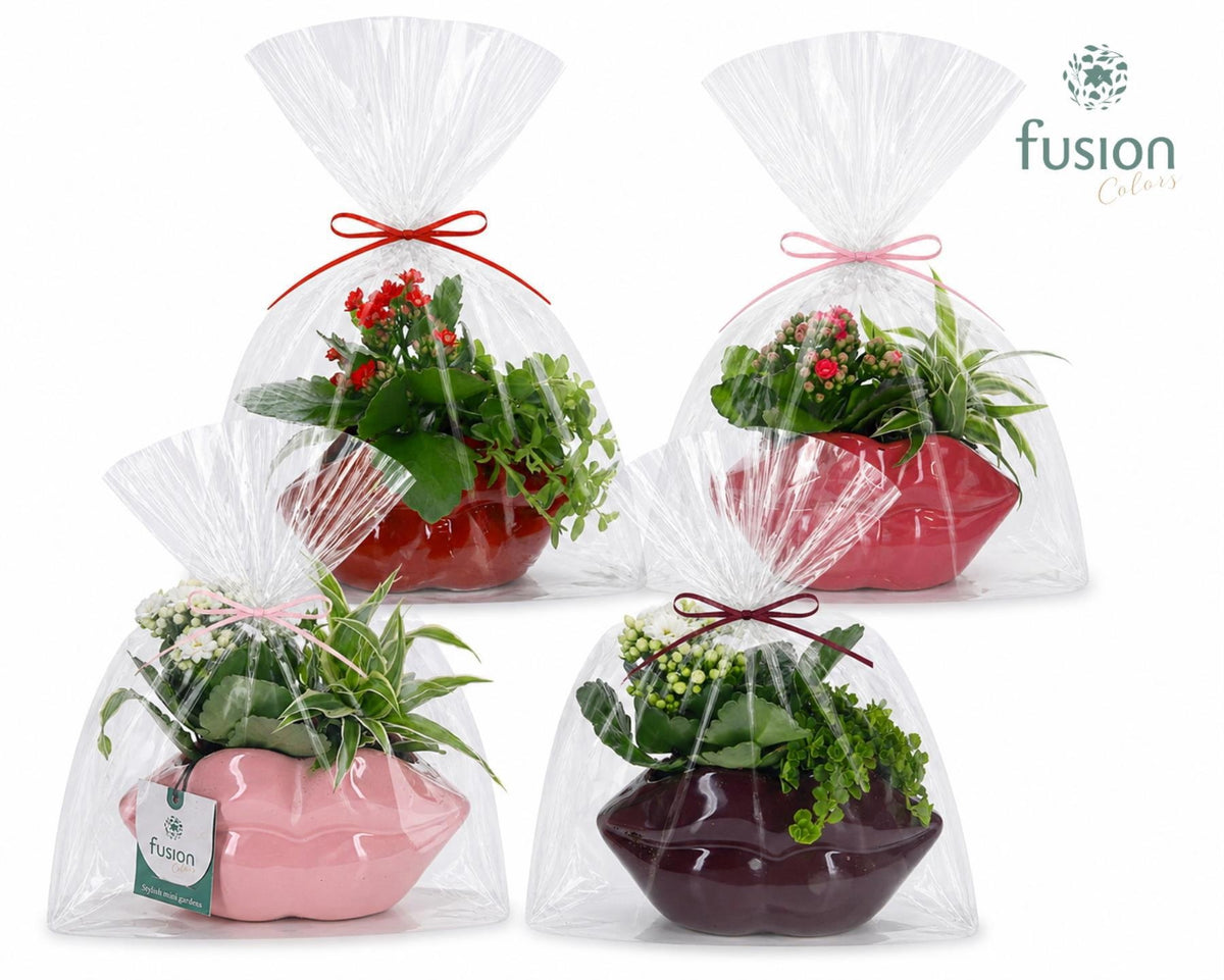 Keramiek Lippen met Arrangement in klaphoes 29cm 15cm Pot