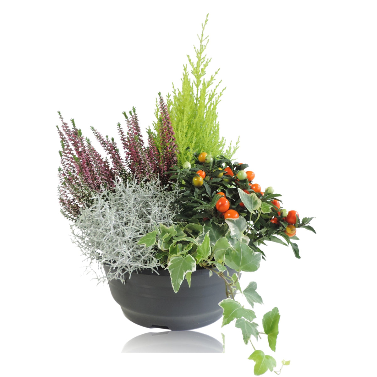 Outdoor arrangement 40cm 23cm Pot