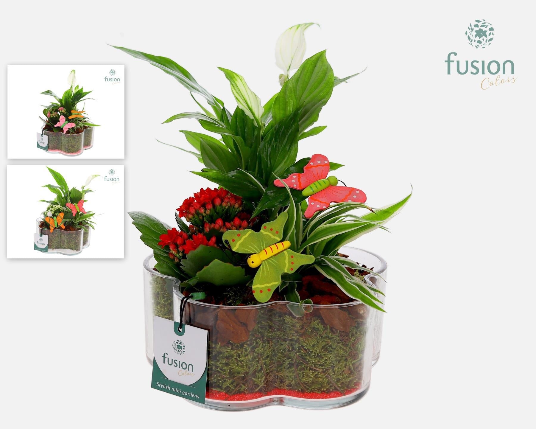 Glazen Bloemschaalmet Voorjaar arrangement 25cm 18cm Pot