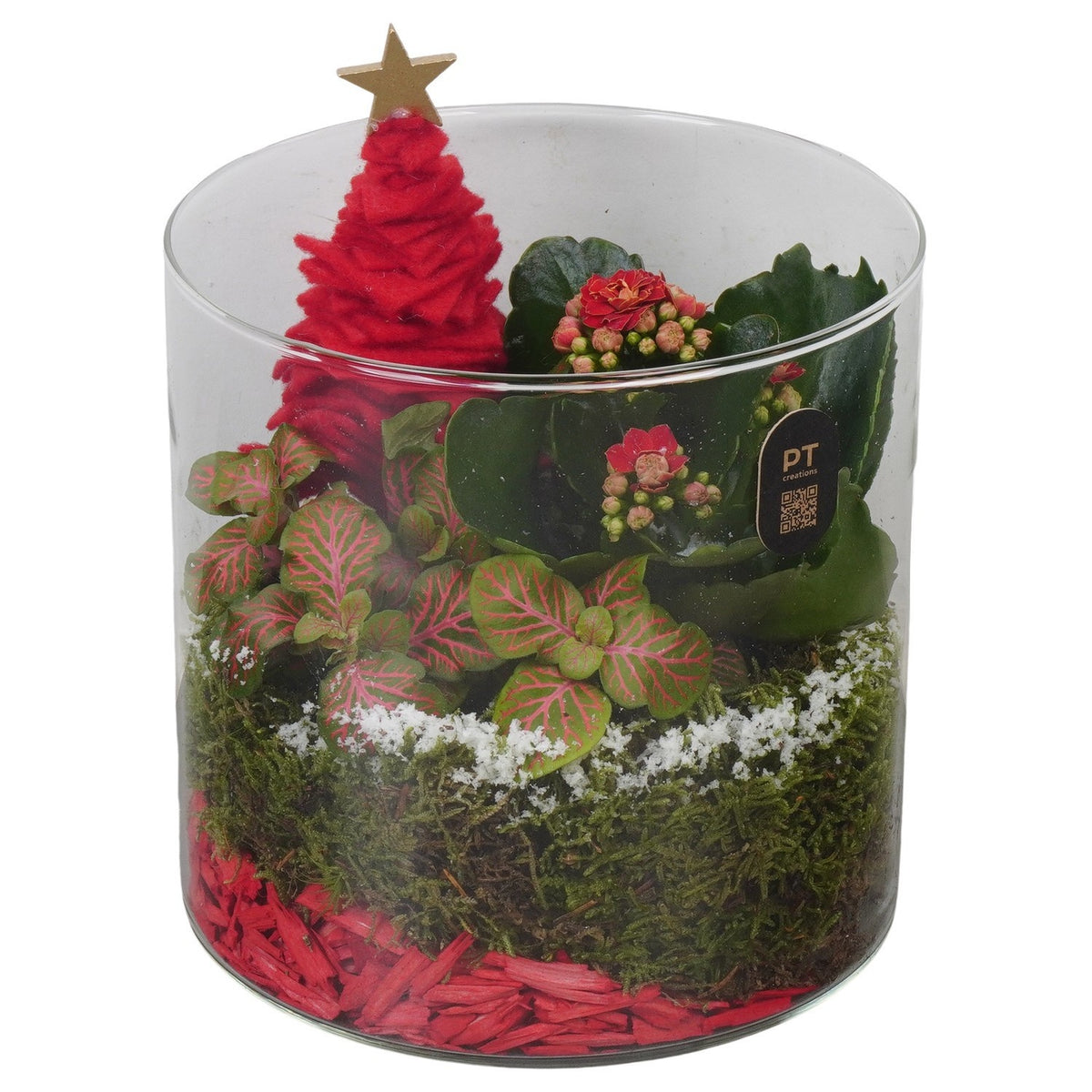 Christmas arrangement 18cm 15cm Pot