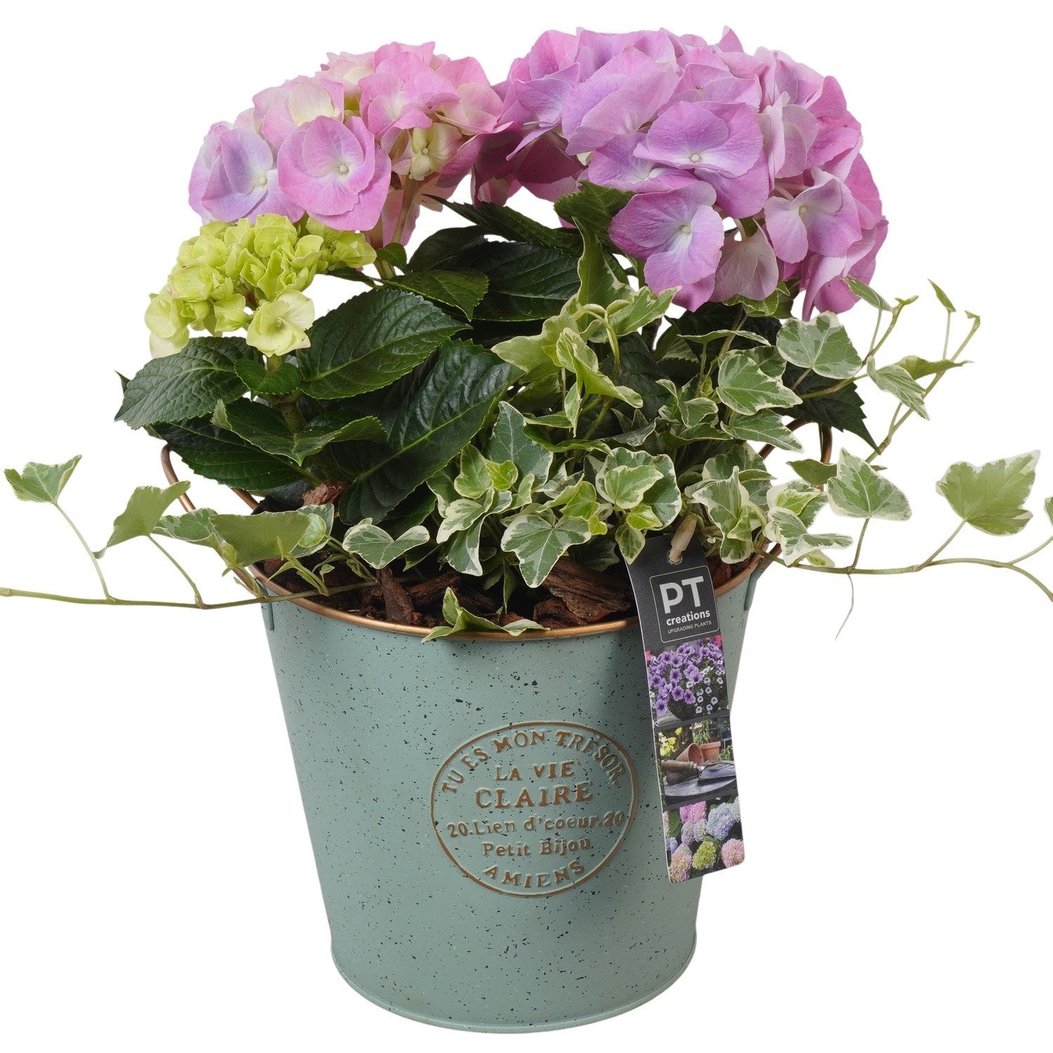 Outdoor arrangement 33cm 18cm Pot