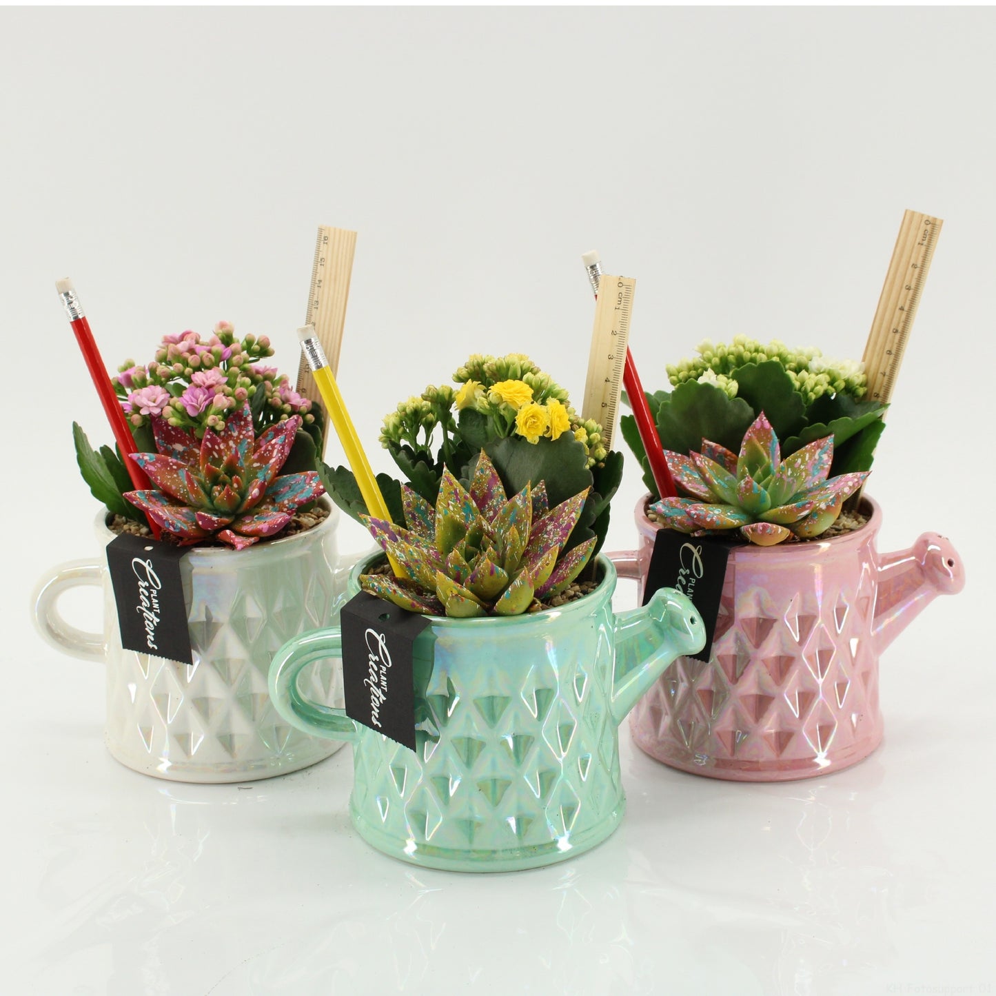 SSCR-2607 School Creations 25cm 13cm Pot