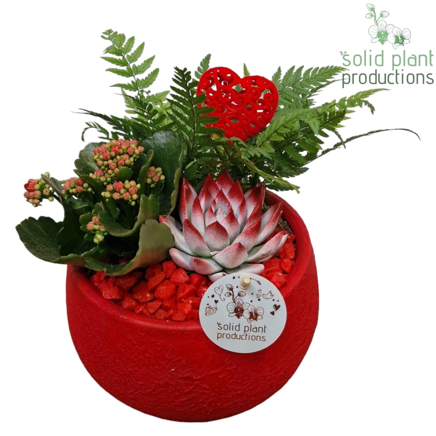 VE054 Esra Red Small 25cm 21cm Pot