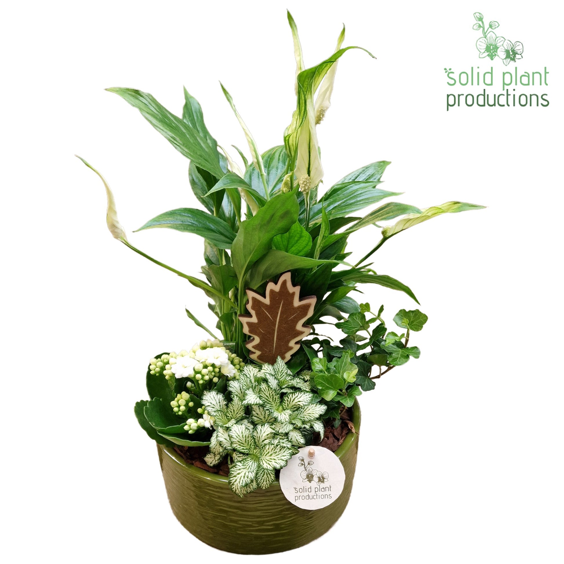 SP003 Loes Green White 38cm 18cm Pot