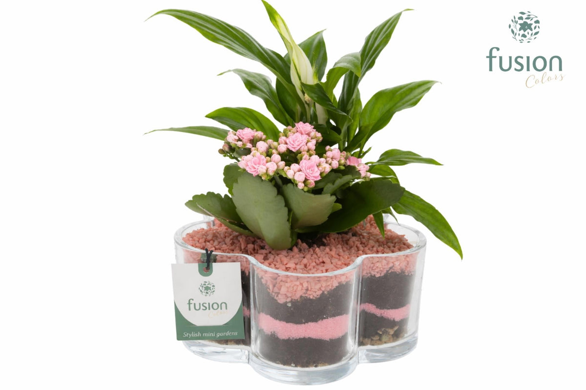 Glas Bloemschaalmet arrangement 2pp 25cm 18cm Pot