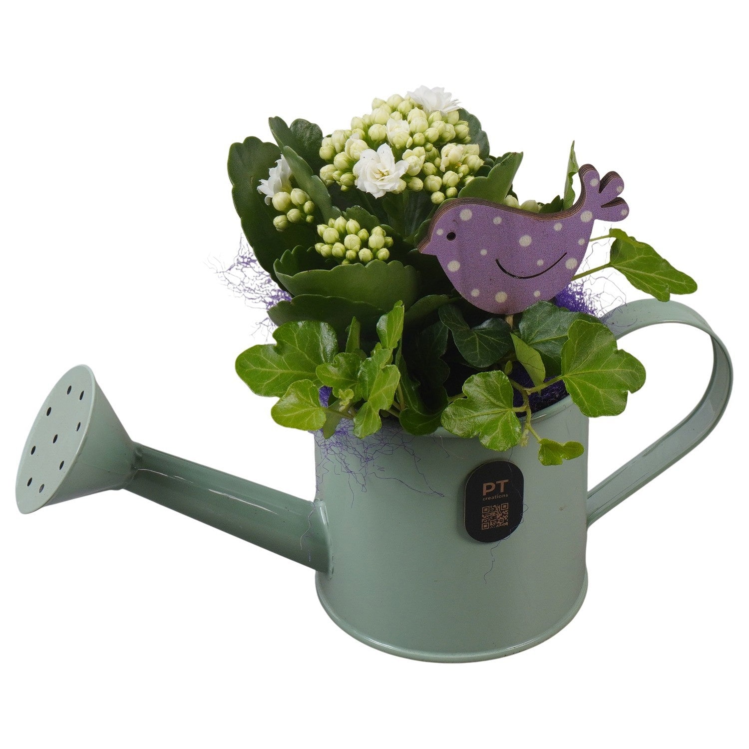 Indoor arrangement 18cm 23cm Pot