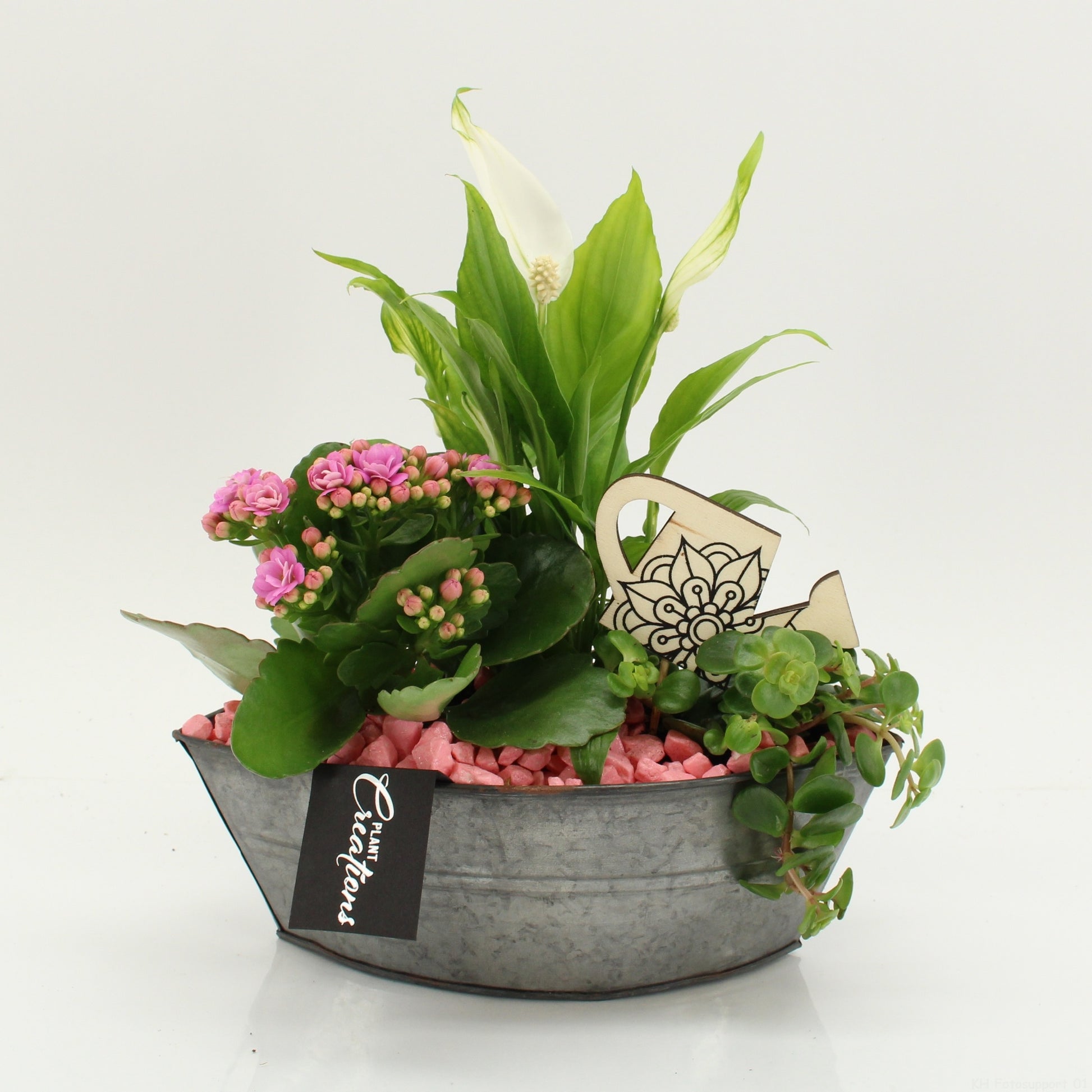 FDCR-2614RZ Basic Fundamentals 30cm 22cm Pot