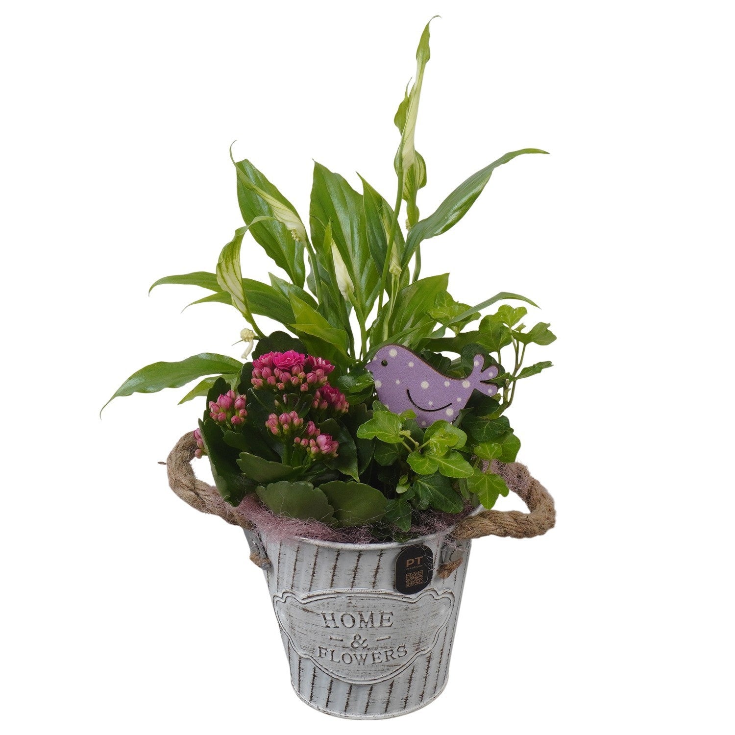 Indoor arrangement 33cm 12cm Pot