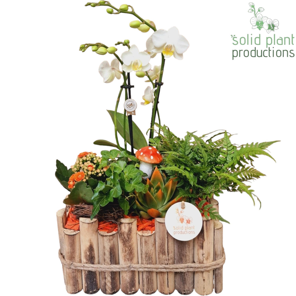 HPE008 Verona Large Autumn Orange 45cm 30cm Pot