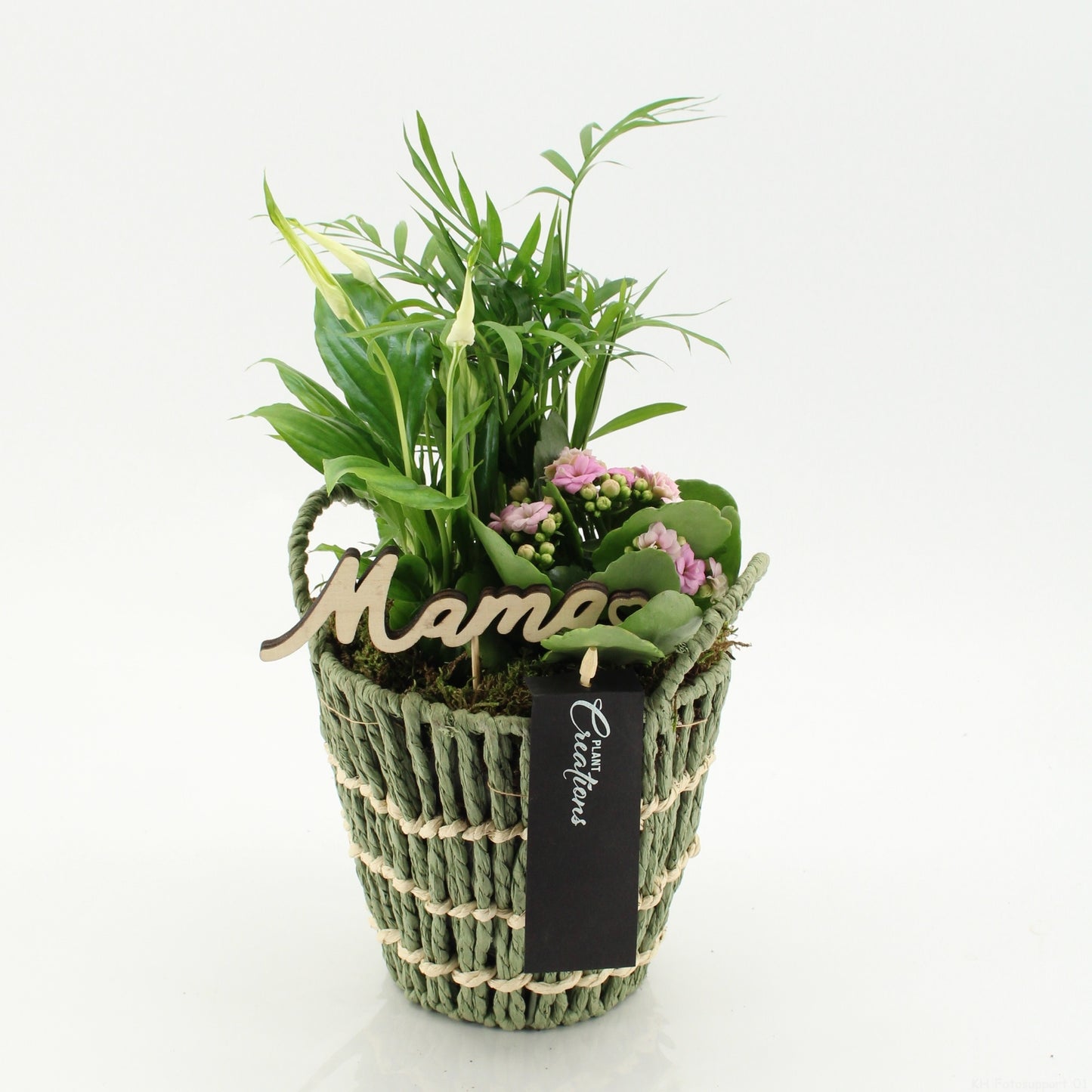 Indoor flowering arrangement 45cm 16cm Pot