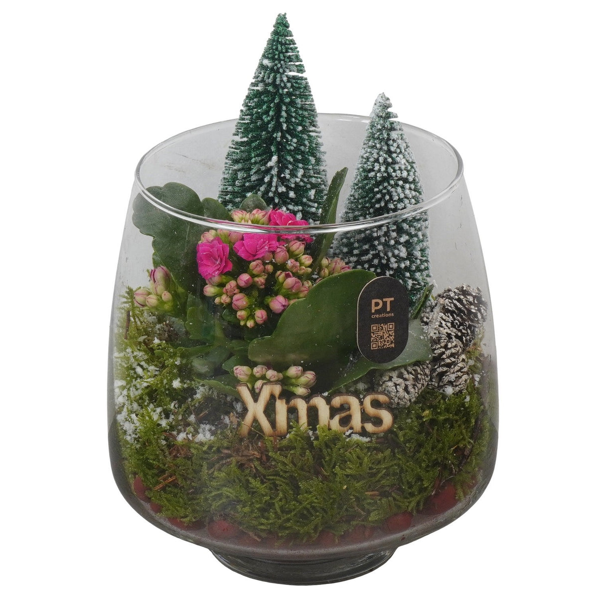 Christmas arrangement 15cm 14cm Pot