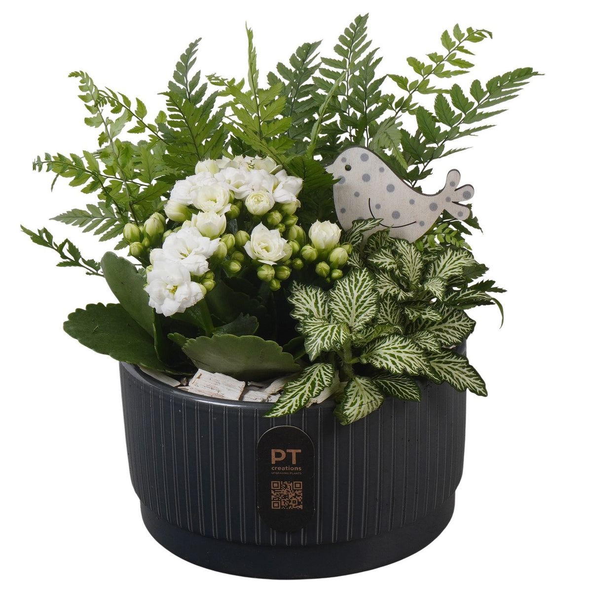 Indoor arrangement 18cm 16cm Pot