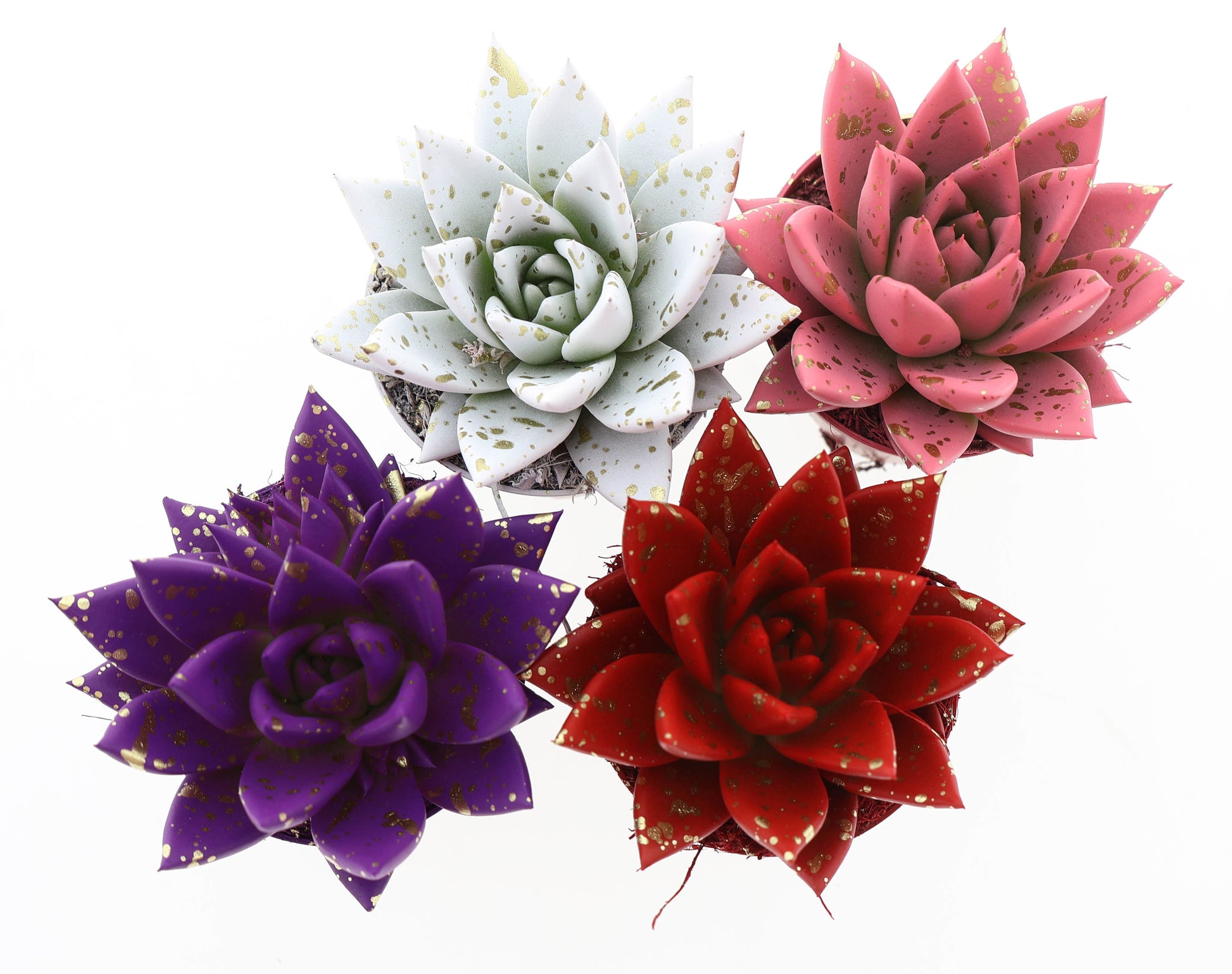 Miranda sprinkle love mix 8cm 6cm Pot