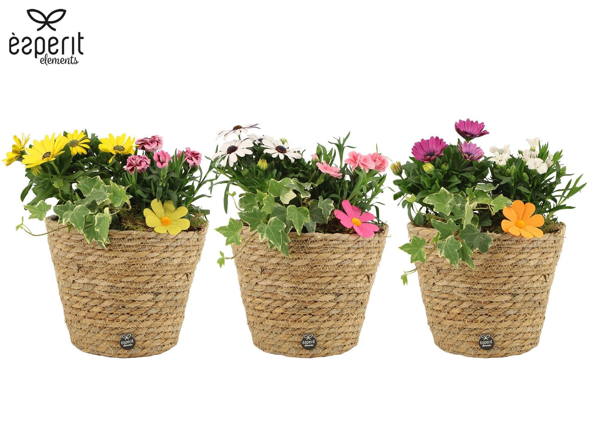 Outdoor arrangement 27cm 19cm Pot