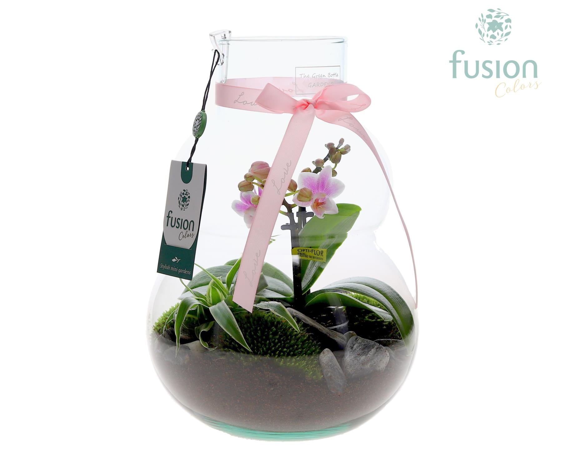 Fusioncolors BV Green Bottle Olaf Medium met Moederdag arrangement Pack of 2