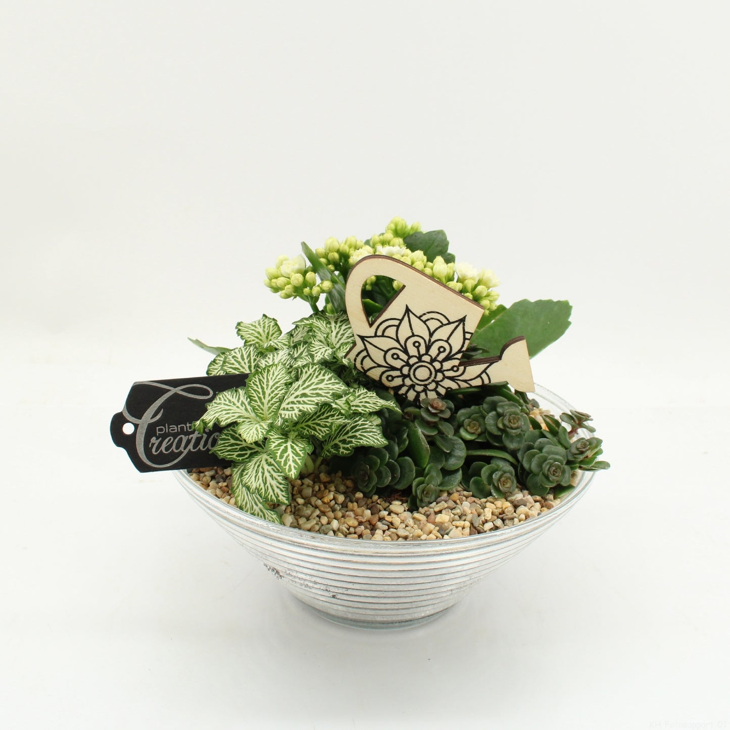FDCR-2601W Basic Fundamentals 20cm 20cm Pot
