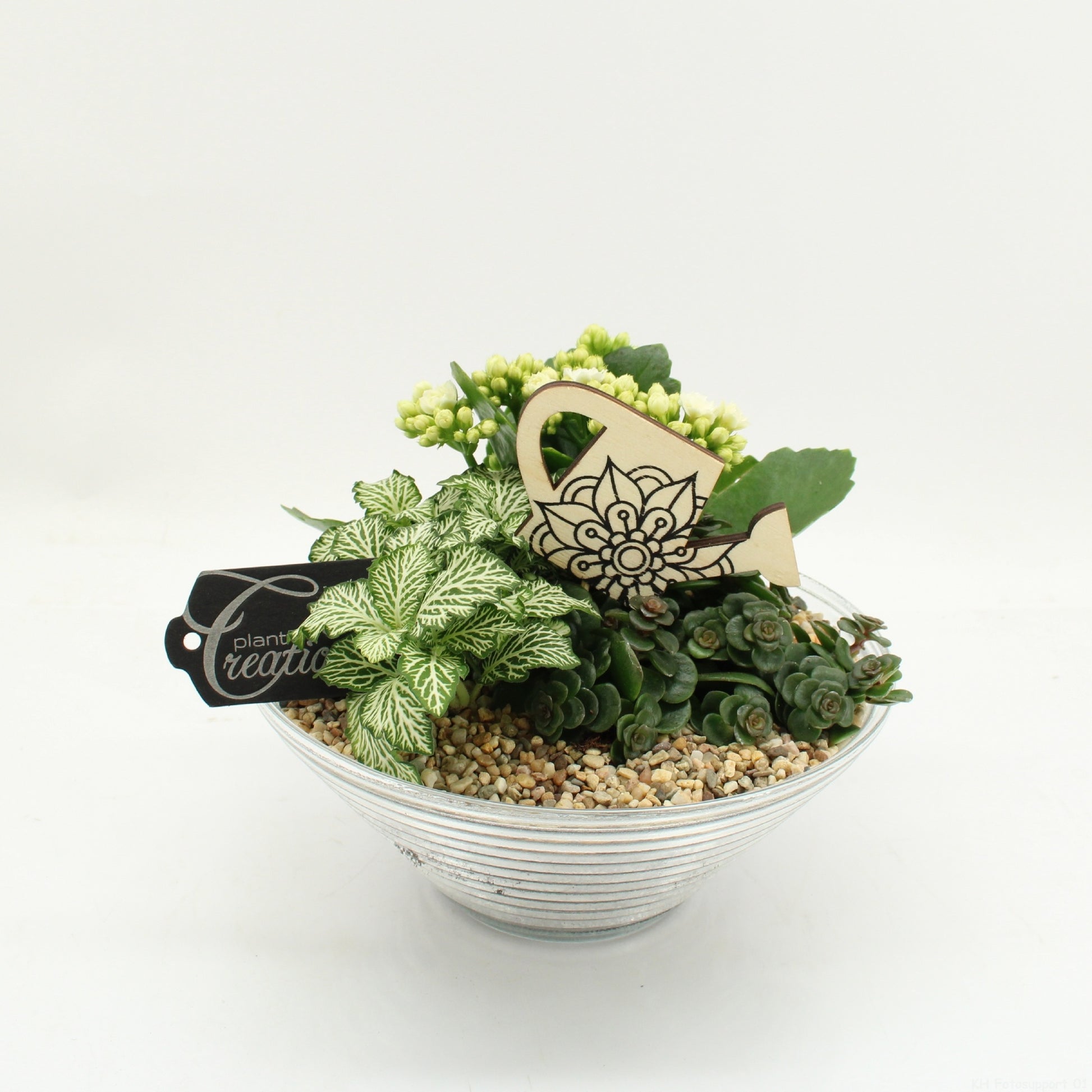 FDCR-2601W Basic Fundamentals 20cm 20cm Pot