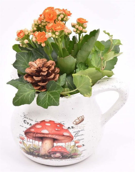 Indoor arrangement 16cm Pot