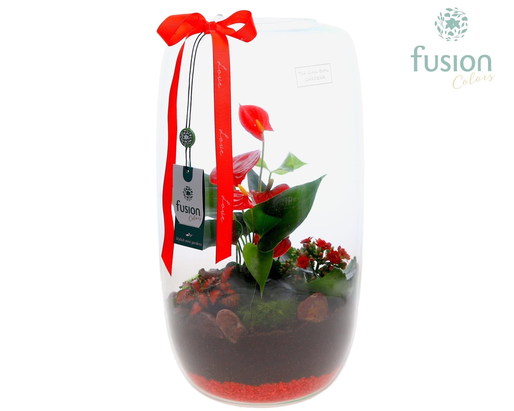 Green Bottle Isabella XXLarge Love met Anthurium 43cm 23cm Pot