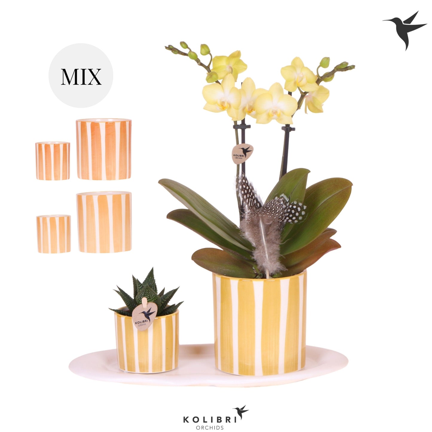 Kolibri Gift Set small Easter 40cm 18cm Pot