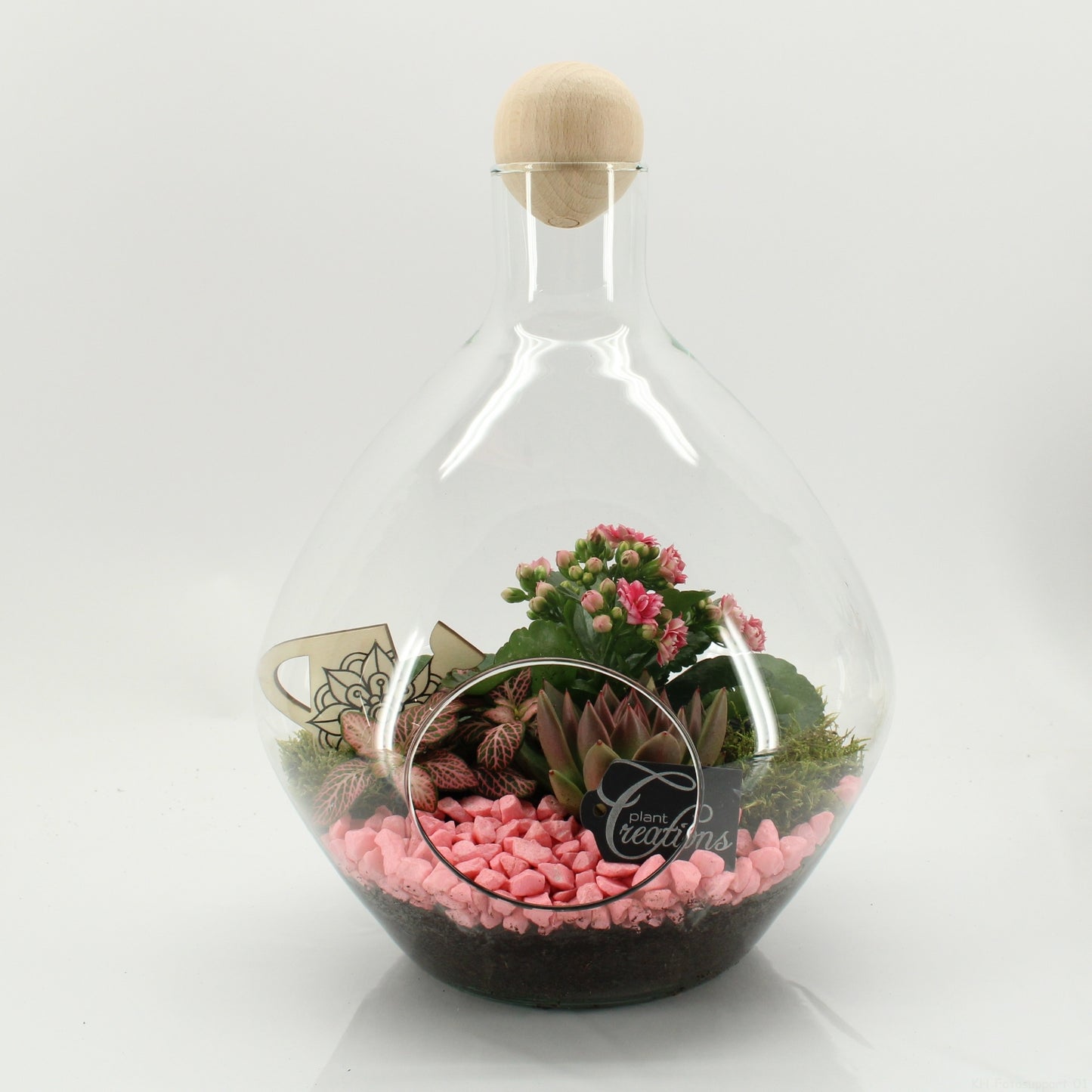 ESCR-2635RZ Essentials terrarium 35cm 26cm Pot