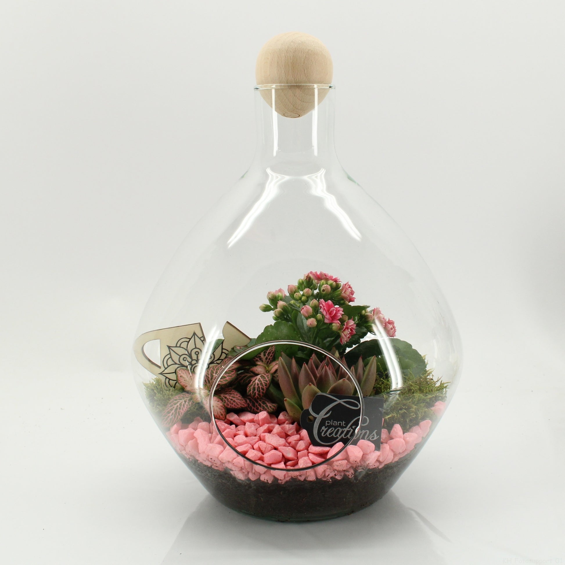 ESCR-2635RZ Essentials terrarium 35cm 26cm Pot