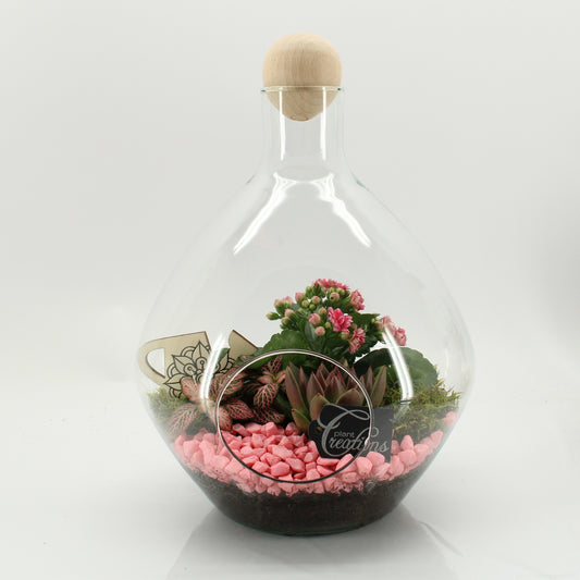ESCR-2635RZ Essentials terrarium 35cm 26cm Pot