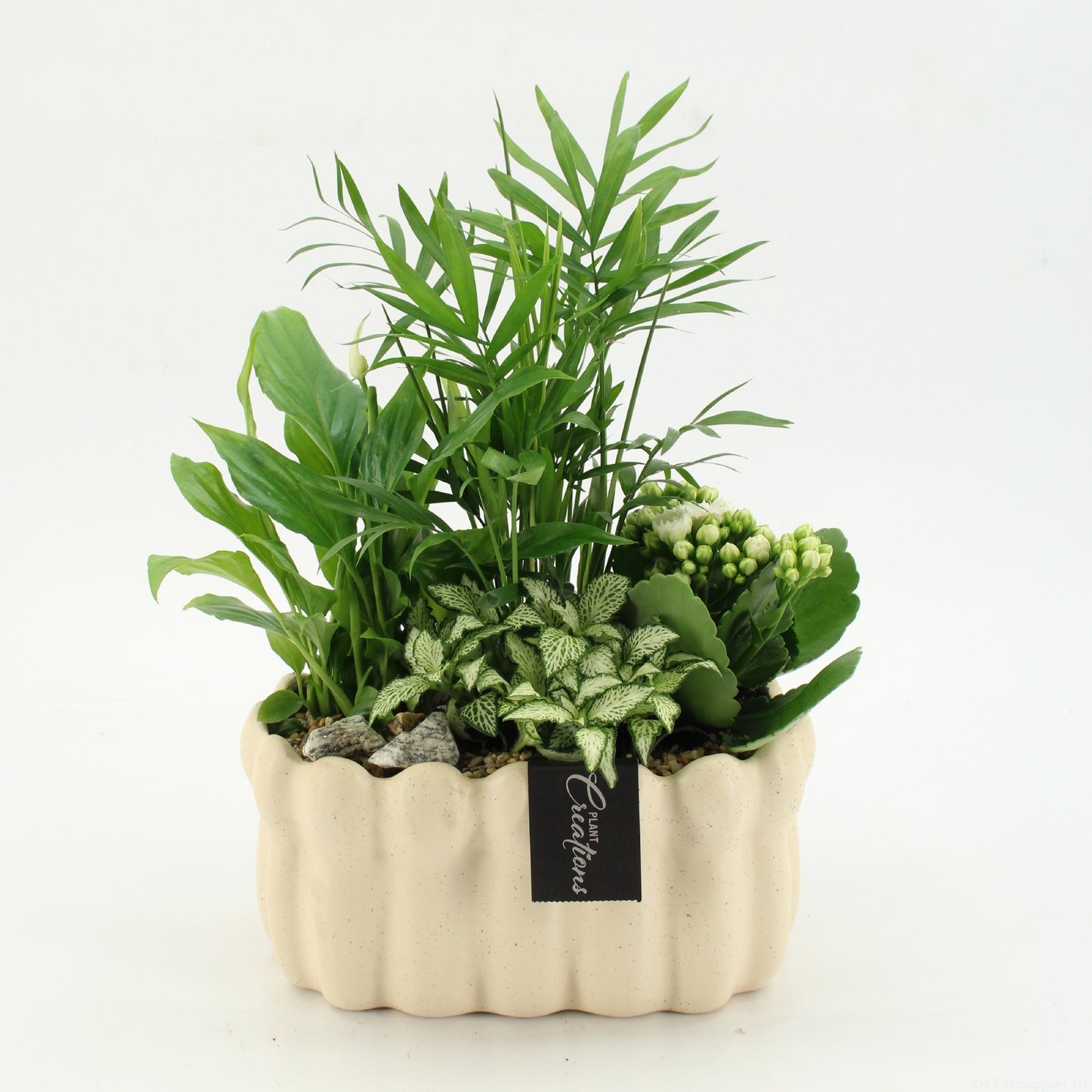 ESCR-2614W Essentials 40cm 23cm Pot